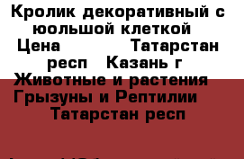 Кролик декоративный с юольшой клеткой › Цена ­ 3 000 - Татарстан респ., Казань г. Животные и растения » Грызуны и Рептилии   . Татарстан респ.